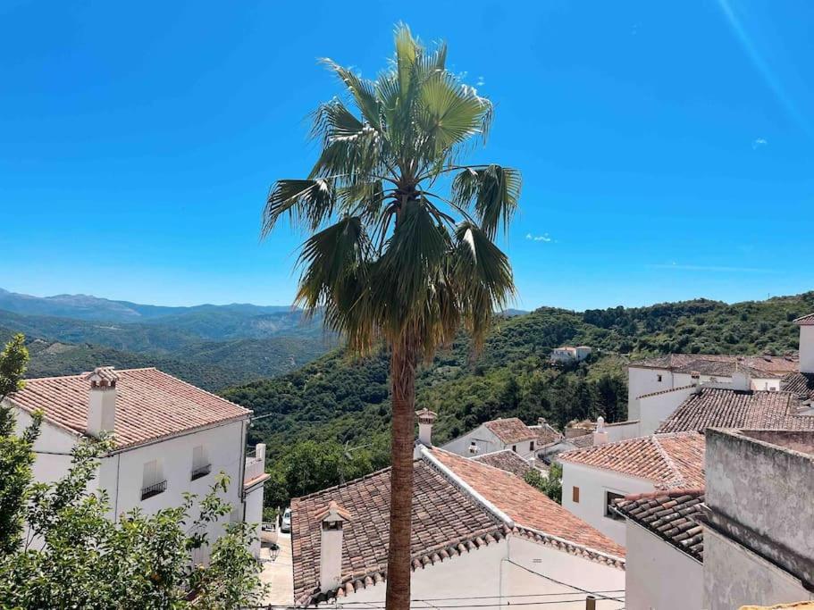La Palmera. Casa Rural Con Piscina Privada. Benadalid Exterior photo