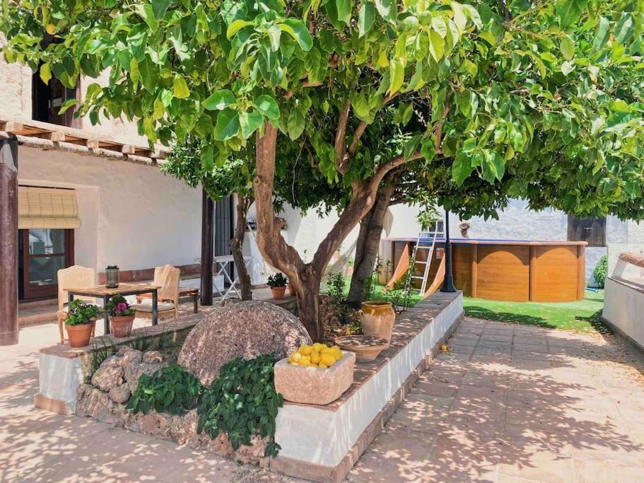 La Palmera. Casa Rural Con Piscina Privada. Benadalid Exterior photo